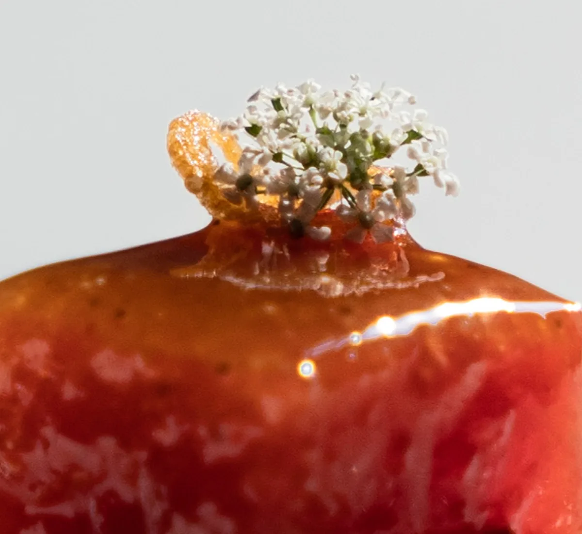 Signature dish close-up